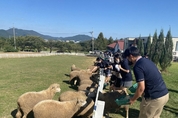 미래 용인농업의 주역, 4-H회원 100여명 경진대회