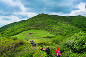 산림유전자원 보호를 위한 산림생태관리센터 운영